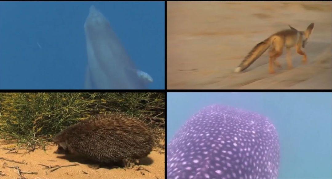 九州ku酷游·(中国集团)官方网站