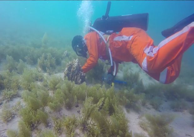 九州ku酷游·(中国集团)官方网站