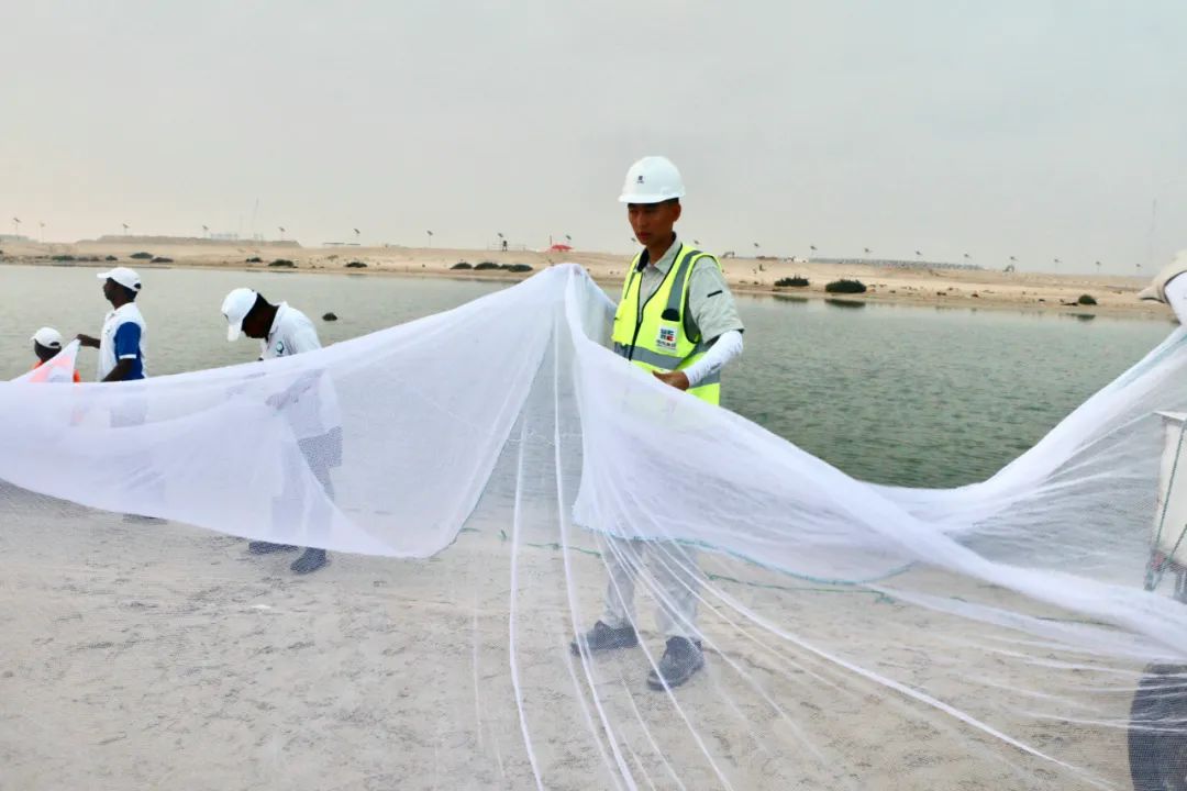 九州ku酷游·(中国集团)官方网站