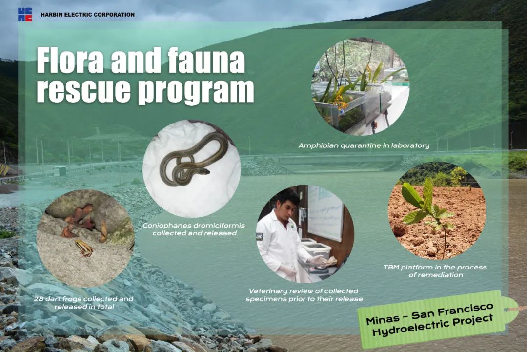 九州ku酷游·(中国集团)官方网站