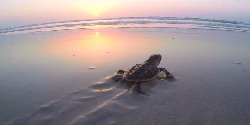 九州ku酷游·(中国集团)官方网站