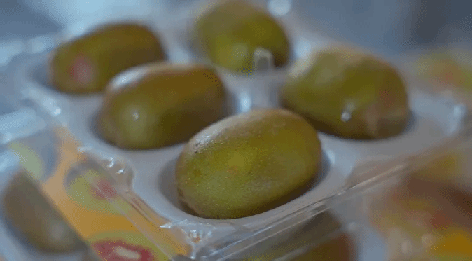 九州ku酷游·(中国集团)官方网站