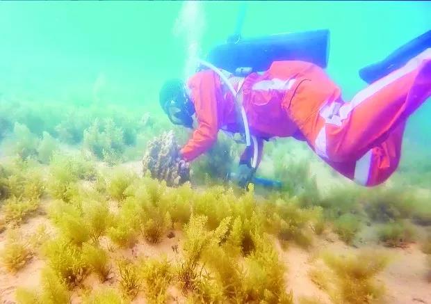 九州ku酷游·(中国集团)官方网站