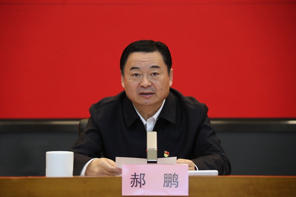 郝鹏、国资、央企、国资委、书记、主任、国企、企业改革