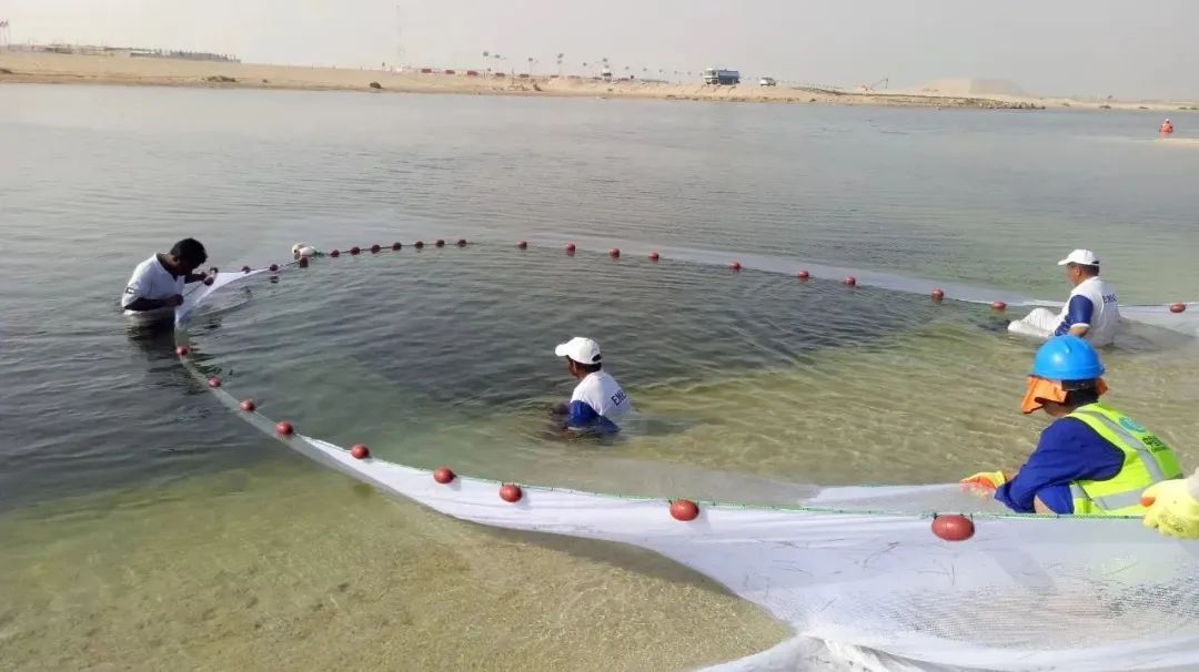 九州ku酷游·(中国集团)官方网站