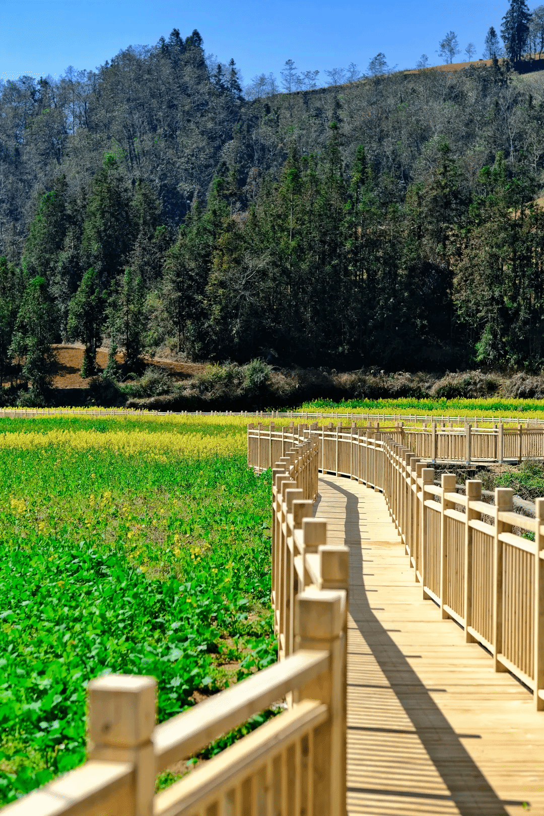 九州ku酷游·(中国集团)官方网站