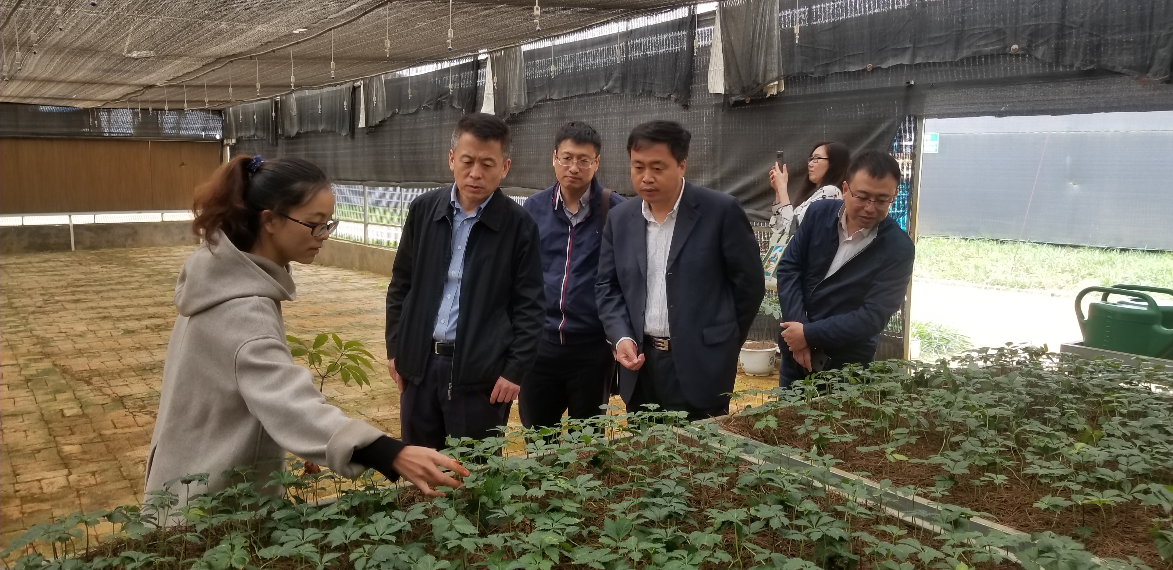 九州ku酷游·(中国集团)官方网站