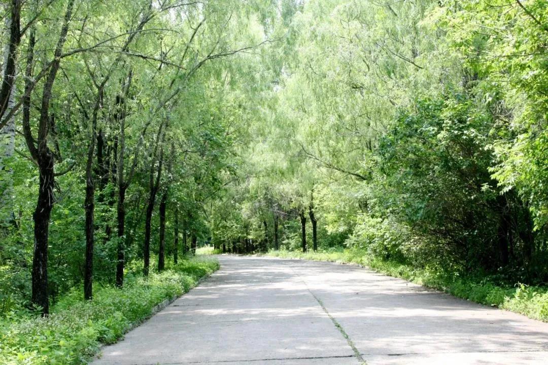 九州ku酷游·(中国集团)官方网站