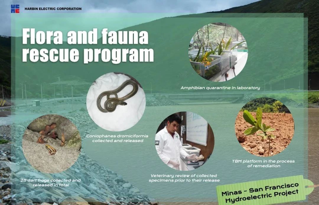 九州ku酷游·(中国集团)官方网站