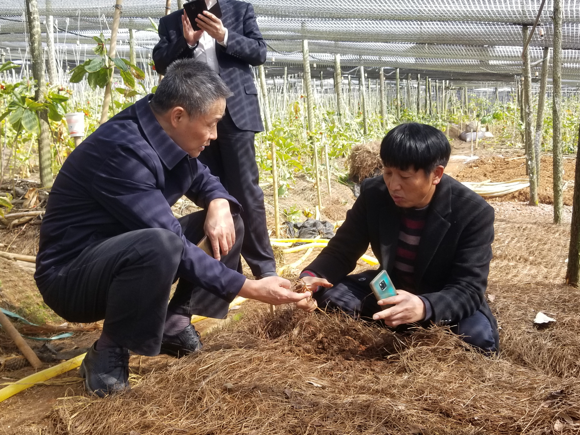 九州ku酷游·(中国集团)官方网站