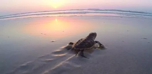 九州ku酷游·(中国集团)官方网站