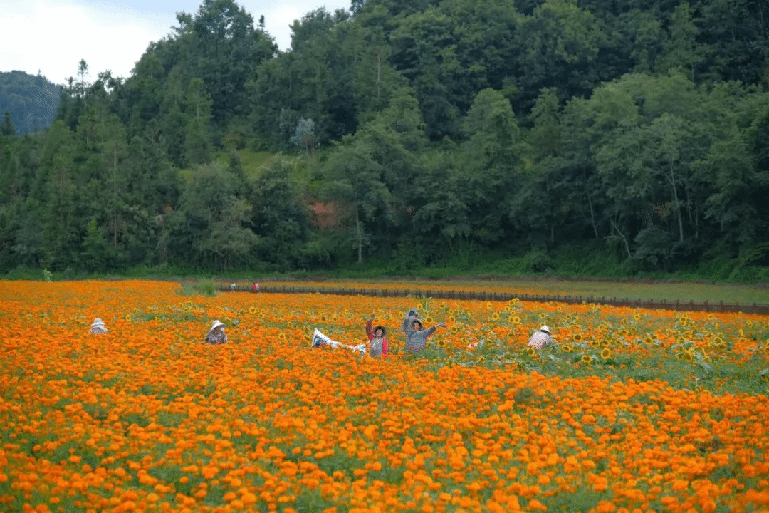 九州ku酷游·(中国集团)官方网站