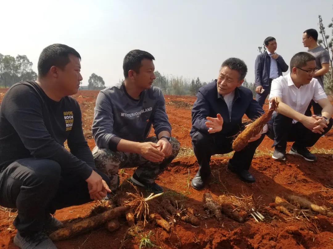 九州ku酷游·(中国集团)官方网站