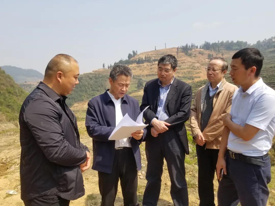 九州ku酷游·(中国集团)官方网站